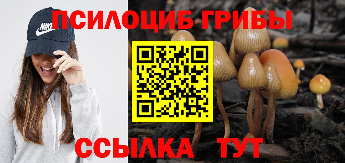 Псилоцибиновые грибы Cubensis  Вход с VPN  Псилоцибиновые грибы MAGIC MUSHROOMS  Свободный 
